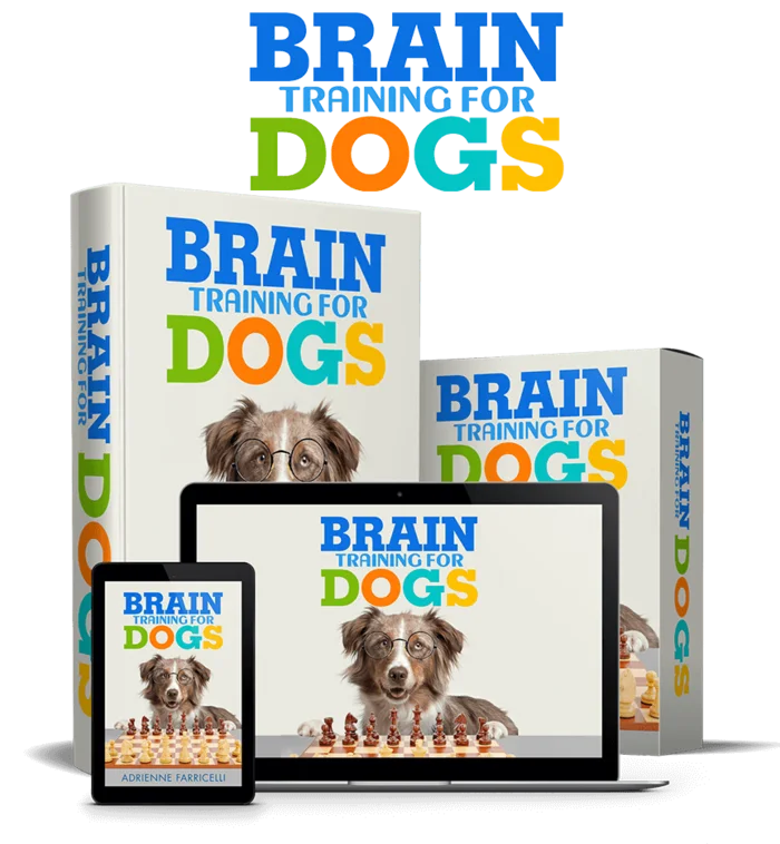 The Brain Training for Dogs course as the seller pictures it: a boxed manual, a laptop and a tablet showing the course cover with a dog wearing round glasses at a chessboard