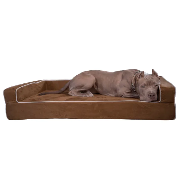 A fawn pit bull resting on a chocolate 3-sided bolster Bully Bed
