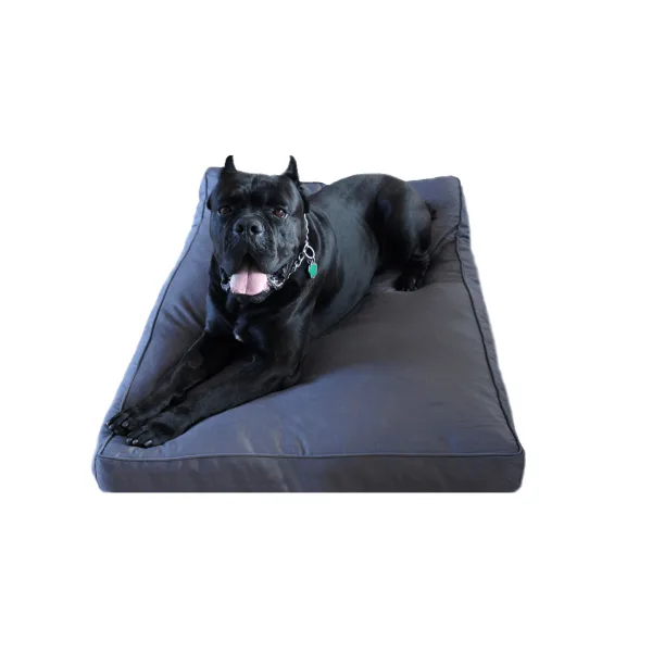 A black Cane Corso lying on a grey Chew Proof Dog Bed