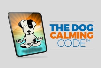 The vendor's own Dog Calming Code product tile: a tablet showing a cartoon dog sitting cross-legged in a meditation pose, beside the course wordmark in blue and orange