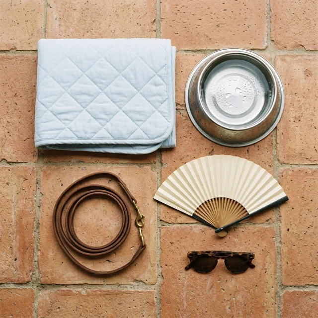 Overhead flat lay on warm terracotta tile of a neatly folded pale-blue quilted mat, a stainless water bowl with condensation, a coiled leash, a paper fan and sunglasses