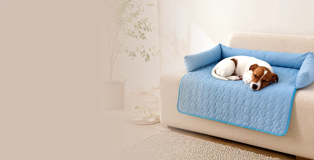 The Pawlax mat spread over a cream sofa with a small dog asleep on it, the vendor's own image of the mat used as a couch protector