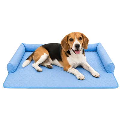 A beagle lying on the light blue Pawlax mat, the vendor's own image of the mat in use