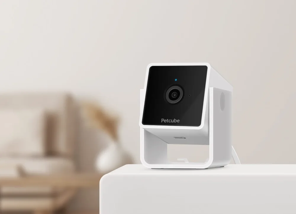 The Petcube Cam standing on a white side table in a living room, as Petcube shows it