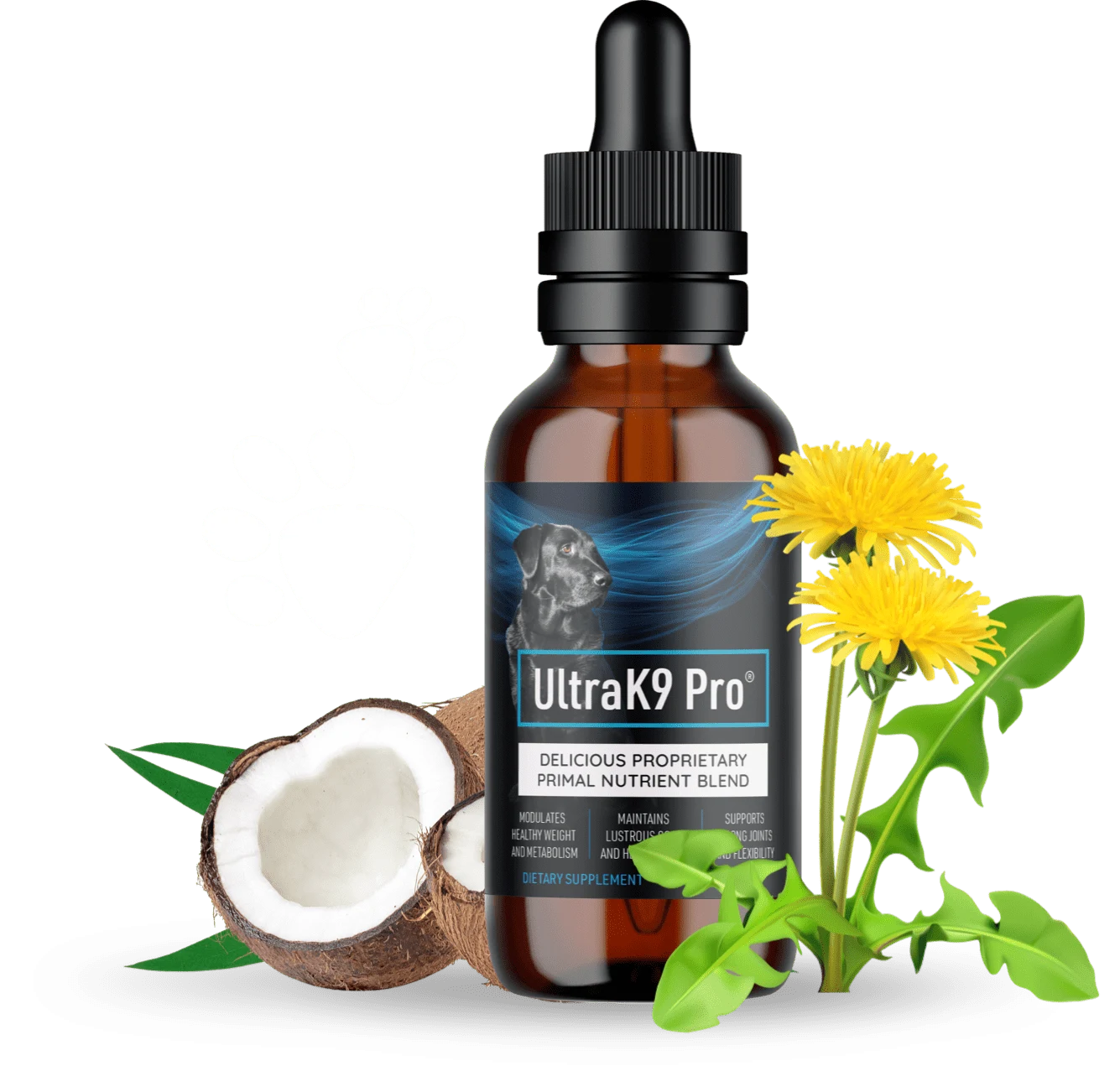 The real UltraK9 Pro bottle with its dropper cap, shown beside a cracked coconut and dandelion flowers, from the vendor's own product photography